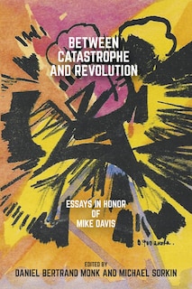 Front cover_Between Catastrophe And Revolution
