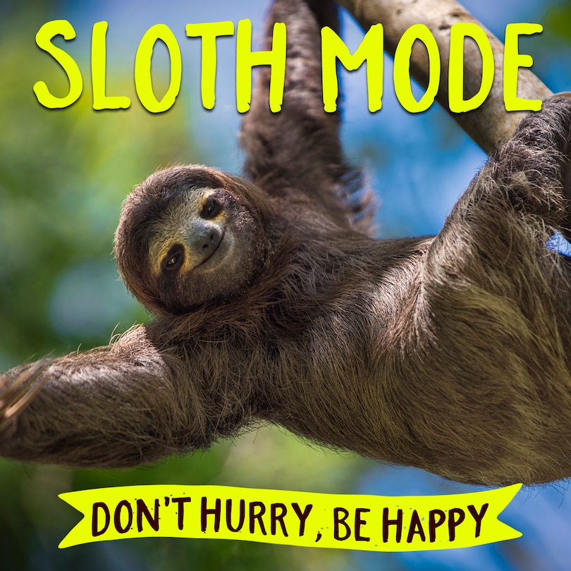 Front cover_Sloth Mode