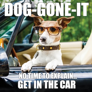 Front cover_Dog-gone-it