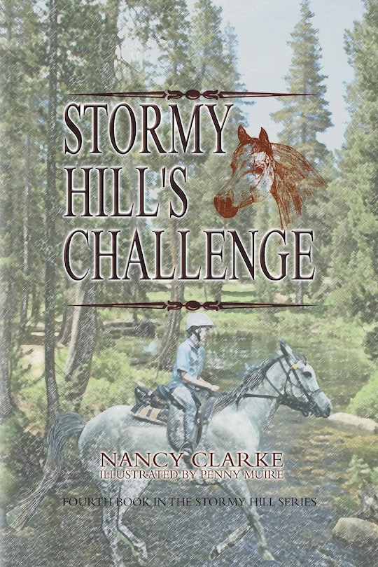 Front cover_Stormy Hill's Challenge