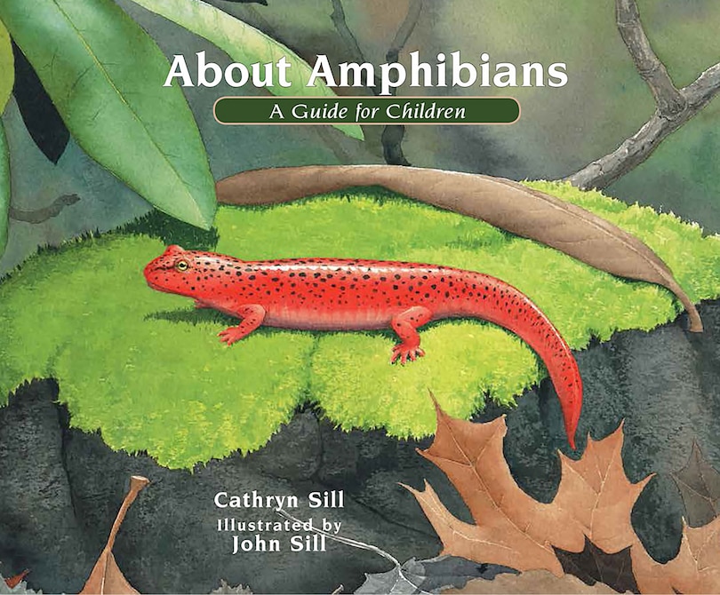 Couverture_About Amphibians