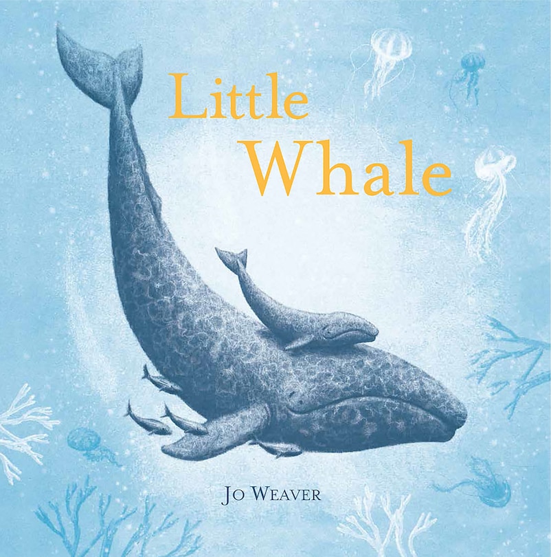 Front cover_Little Whale