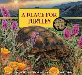 Front cover_A Place For Turtles