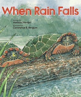 Front cover_When Rain Falls