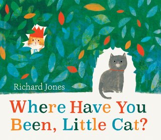 Front cover_Where Have You Been, Little Cat?
