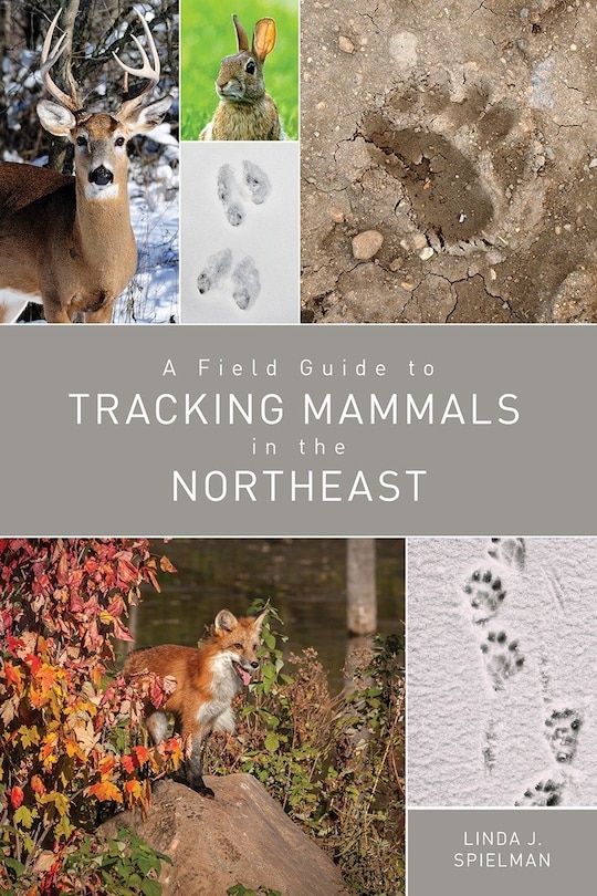 Couverture_A Field Guide To Tracking Mammals In The Northeast