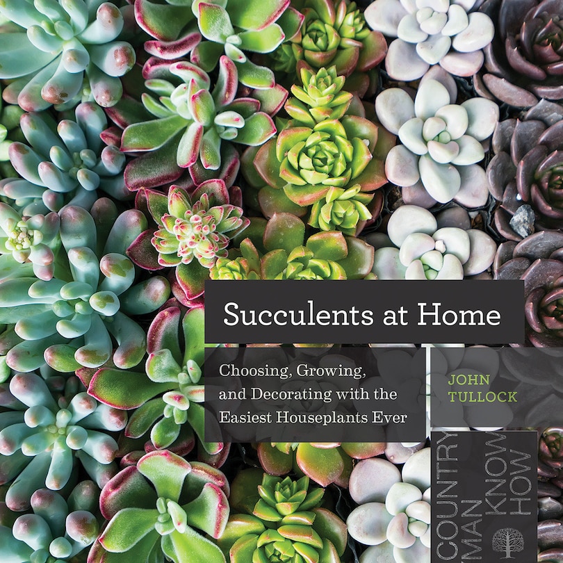 Front cover_Succulents At Home