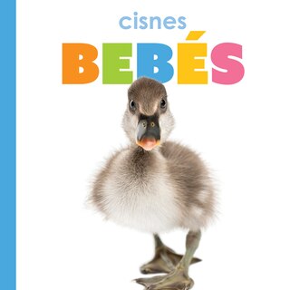 Front cover_Cisnes bebés
