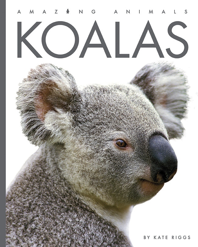 Front cover_Koalas