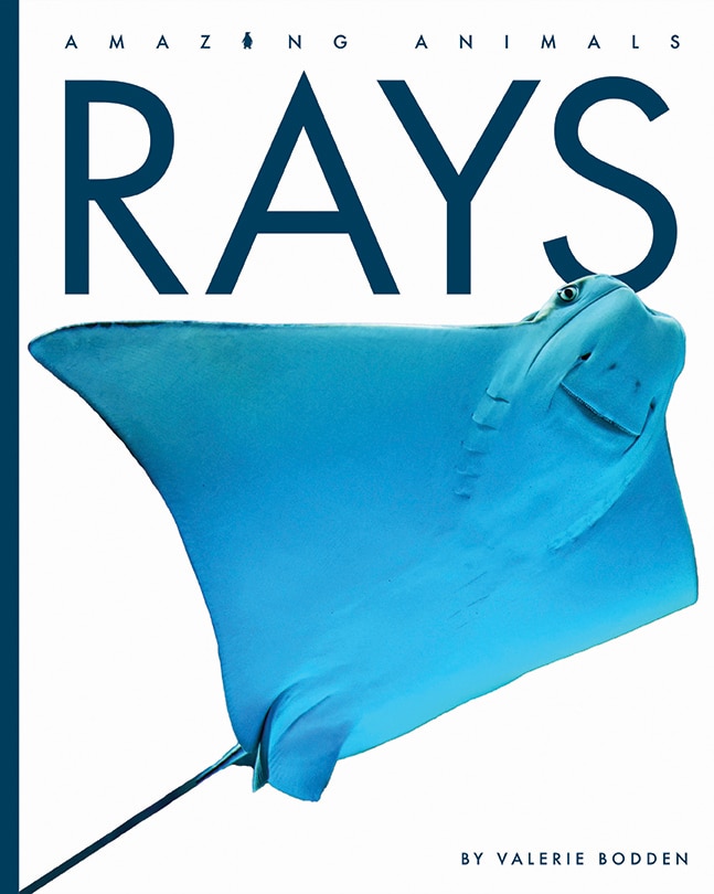 Front cover_Rays