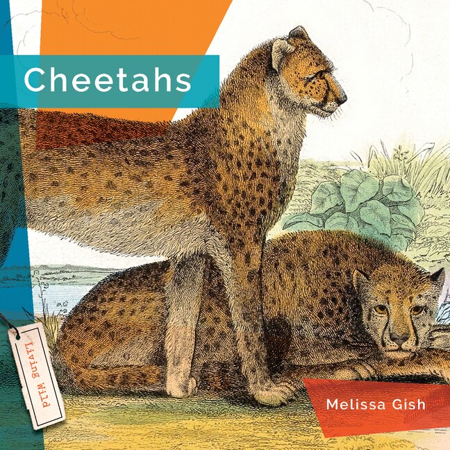 Front cover_Cheetahs