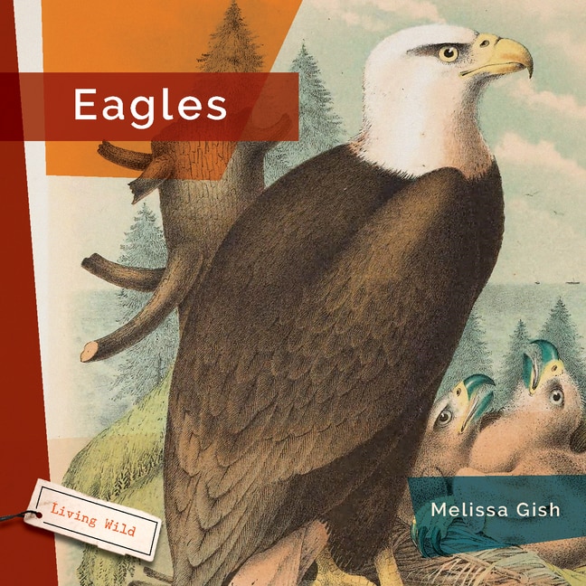 Couverture_Eagles
