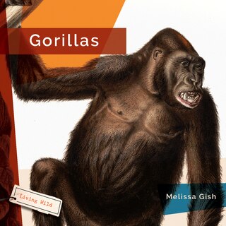 Front cover_Gorillas
