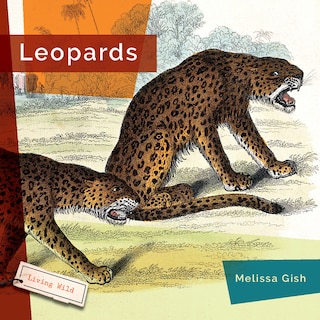 Couverture_Leopards