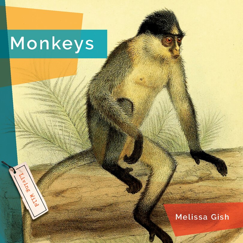 Front cover_Monkeys