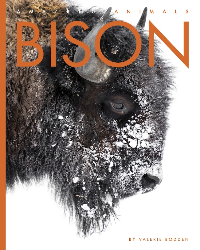Front cover_Bison