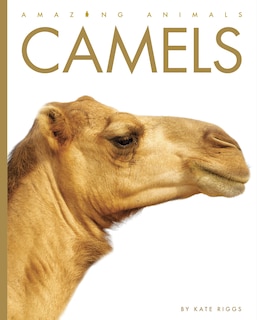 Front cover_Camels