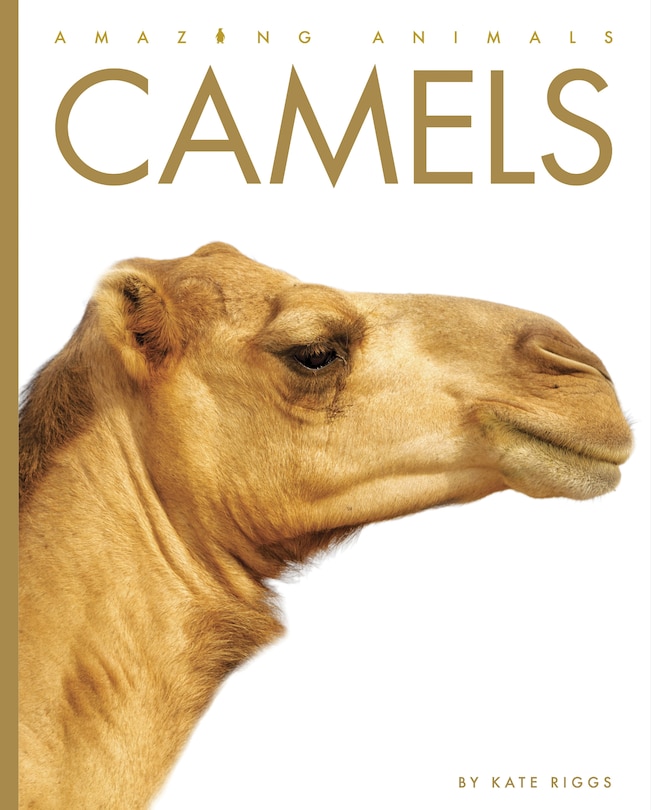 Front cover_Camels