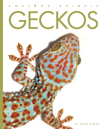 Geckos