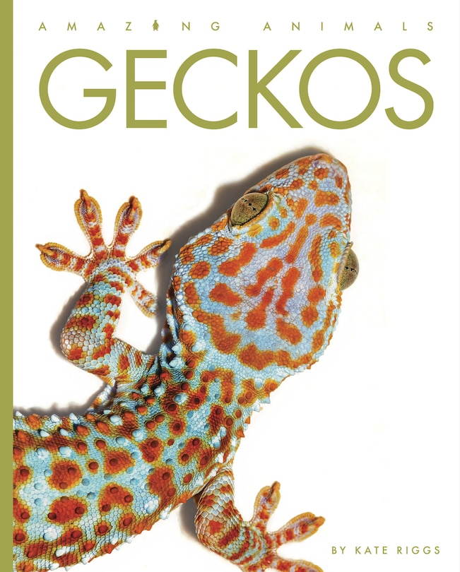 Couverture_Geckos