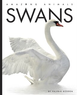 Couverture_Swans