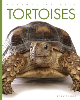 Front cover_Tortoises