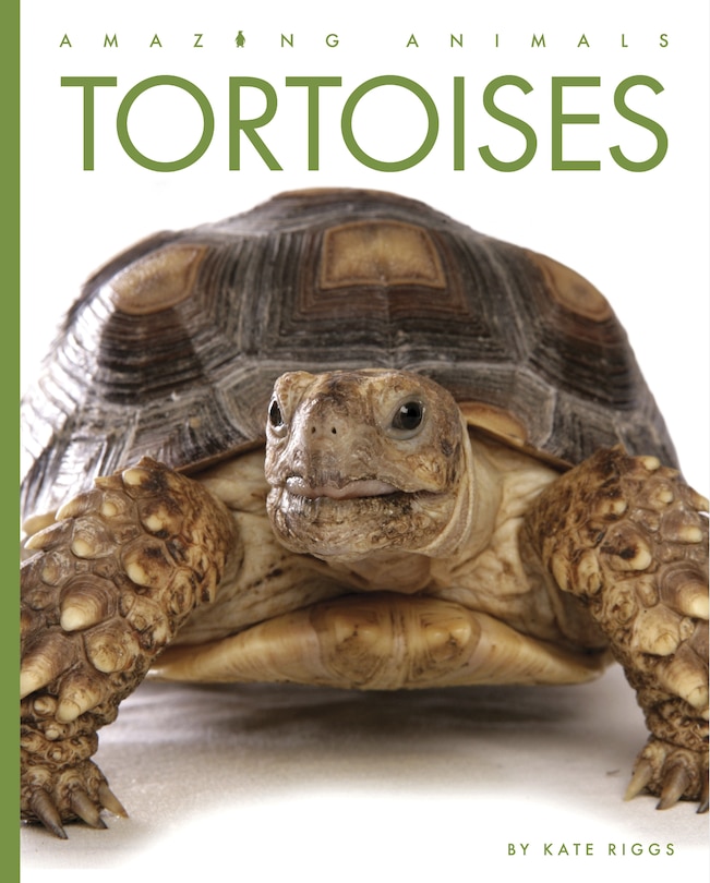 Front cover_Tortoises