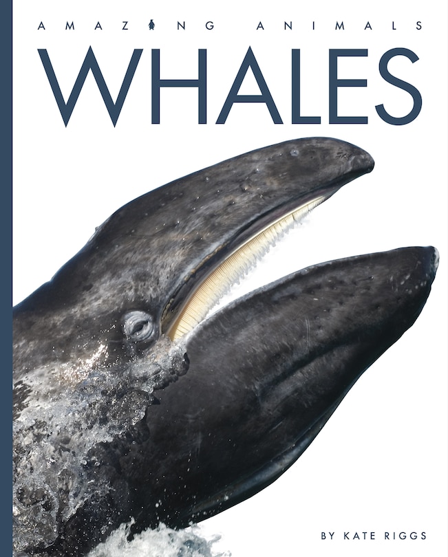 Front cover_Whales