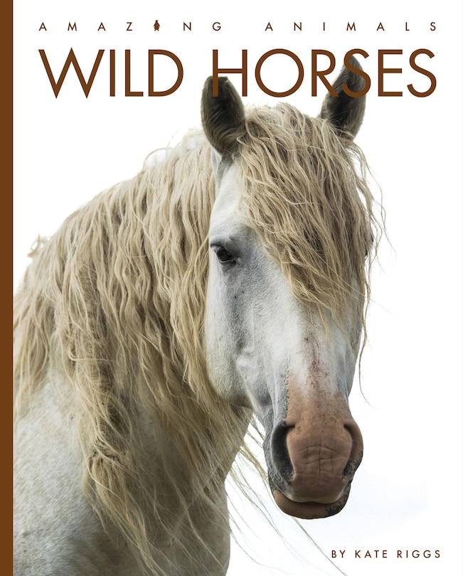 Front cover_Wild Horses