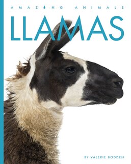 Front cover_Llamas