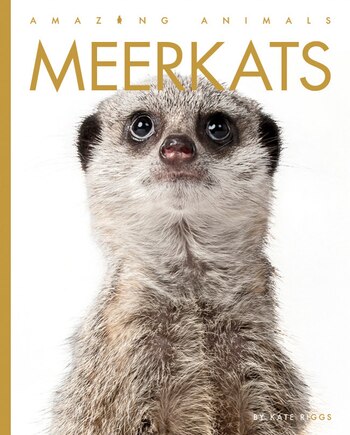 Meerkats: Amazing Animals: Meerkats