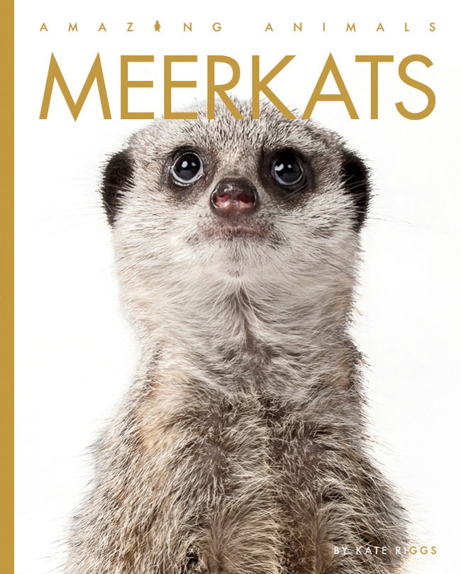 Front cover_Meerkats