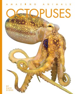 Front cover_Octopuses