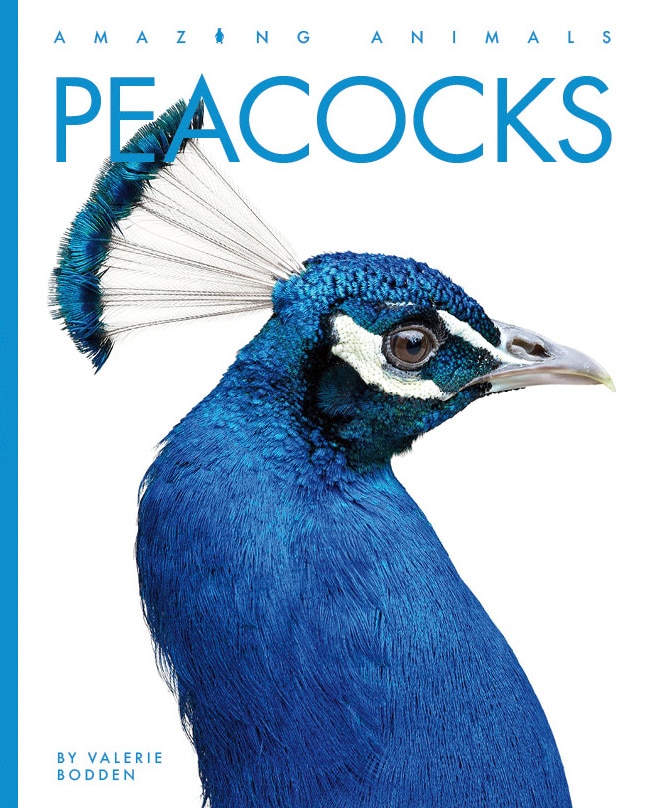 Front cover_Peacocks