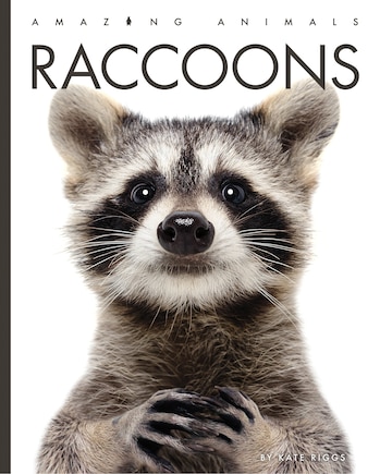 Raccoons: Amazing Animals: Raccoons