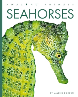 Front cover_Seahorses