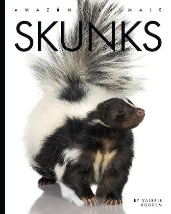 Skunks: Amazing Animals: Skunks