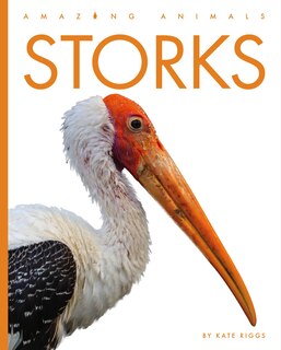 Front cover_Storks