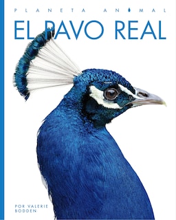 Front cover_El pavo real