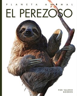 Front cover_El perezoso