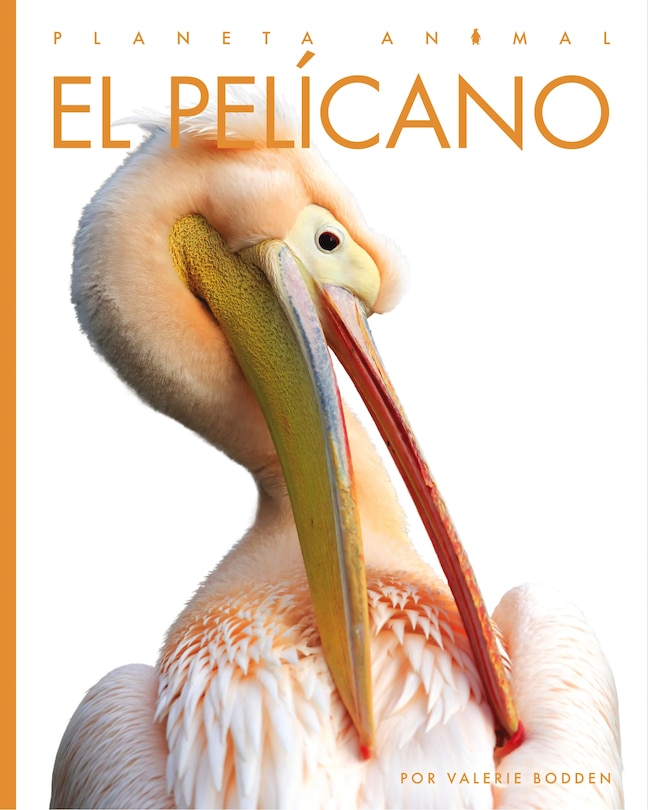 Front cover_El pelicano
