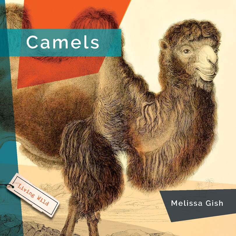 Couverture_Camels