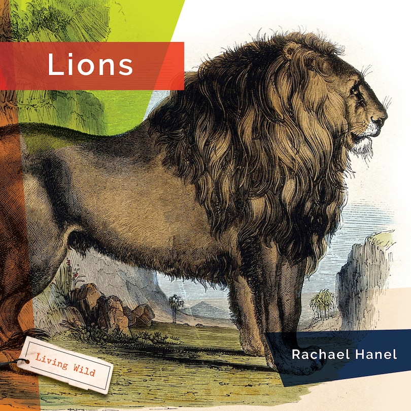 Couverture_Lions