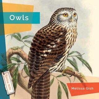 Front cover_Owls
