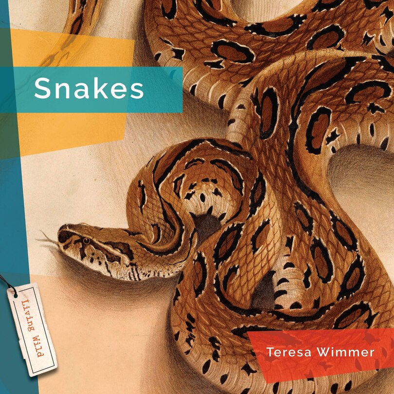 Couverture_Snakes