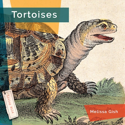 Tortoises