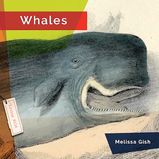 Couverture_Whales