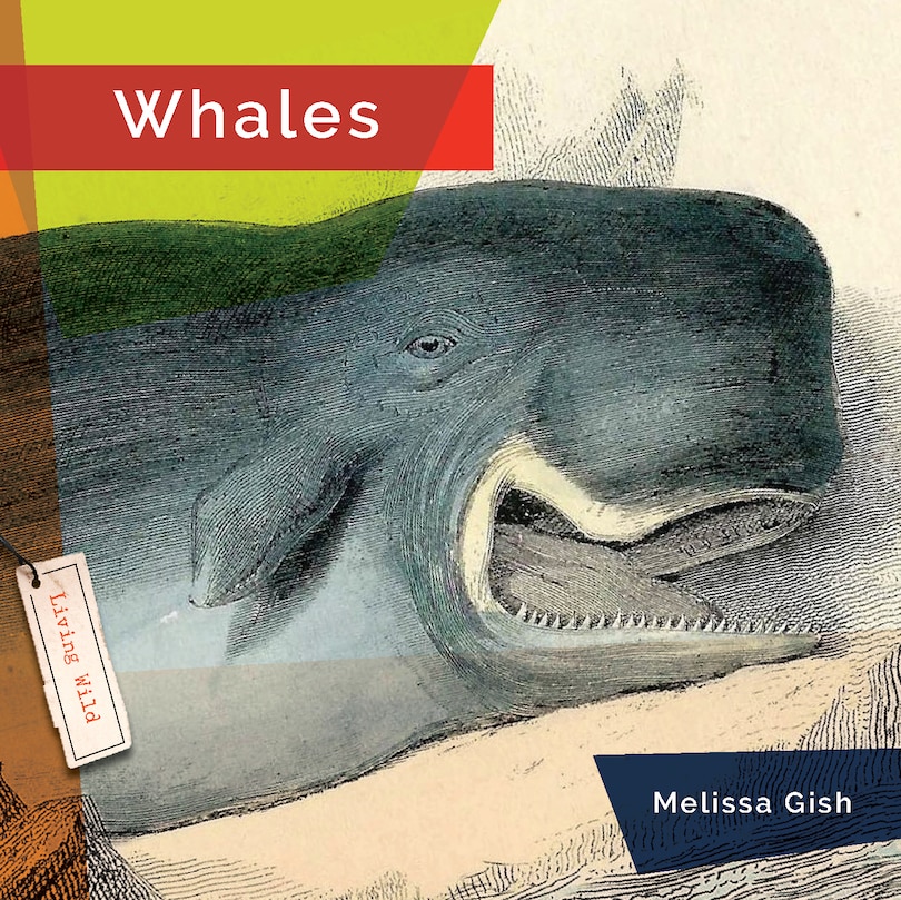 Couverture_Whales