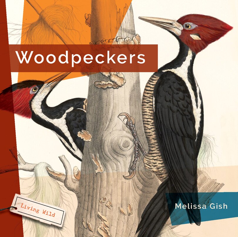 Front cover_Woodpeckers