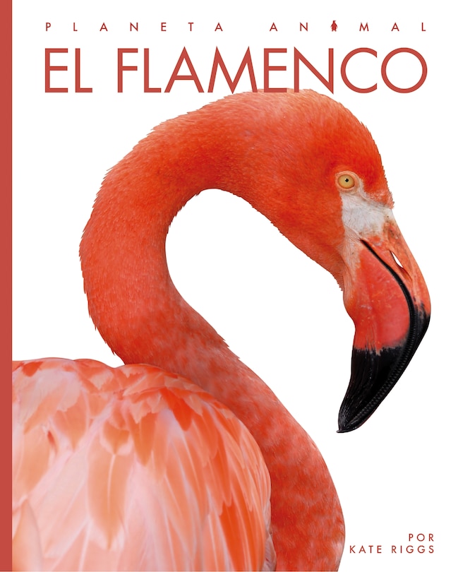 Front cover_El flamenco